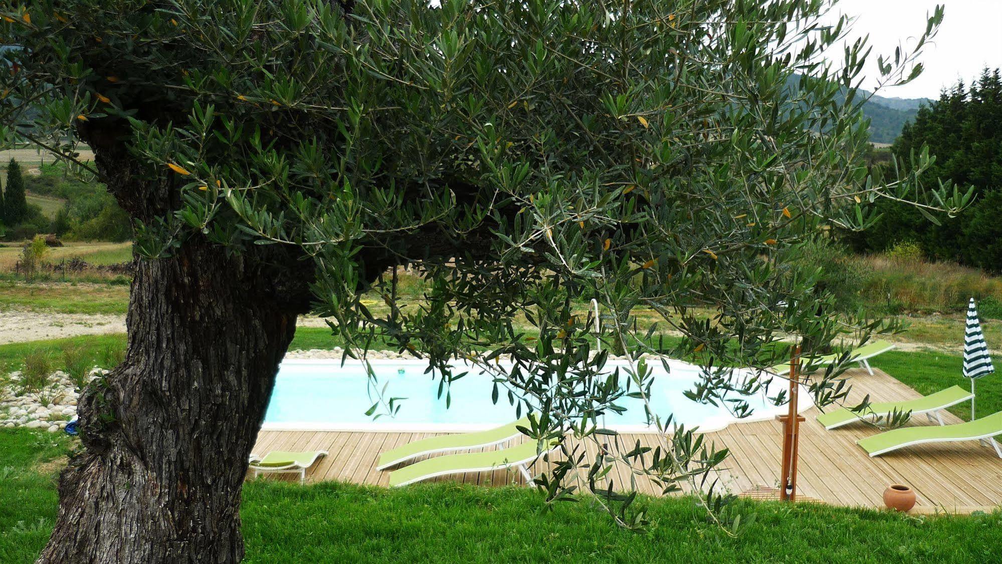 Relais De L'Alsou- Piscine Bed & Breakfast Labastide-en-Val Bagian luar foto
