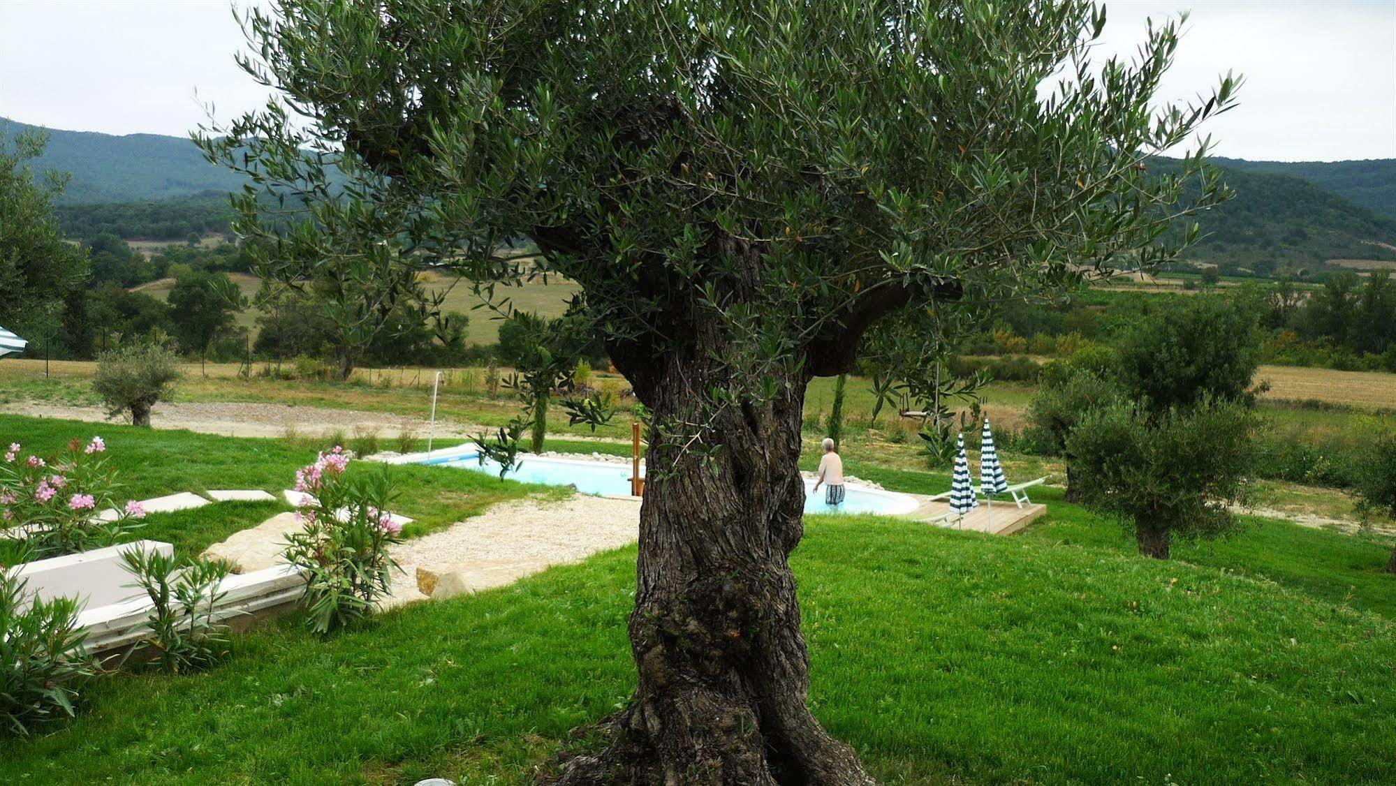 Relais De L'Alsou- Piscine Bed & Breakfast Labastide-en-Val Bagian luar foto